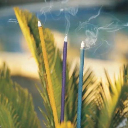Euroscents Diffusion- Mazo de 25 sticks incienso jardin, 49x0.8 cm