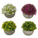 planta artificial con maceta biodegradable 4 modelos diferentes