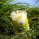 Euroscents Difussion - Vela Citronella vegetal oxigenada 120 gr.